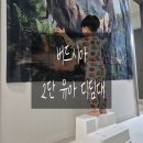 버드시아 | 안전한 유아 디딤대 버드시아 2단발받침대 후기