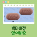 빅타 이미지