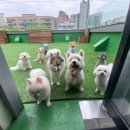 오꼬미 이미지