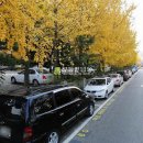 송내대로30번길 이미지