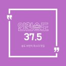 데이즈 호텔 명동 | [인천 송도] 37.5 송도점 브런치 맛집 파스타 맛집 방문 후기