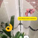 아이엠케익(IAMCAKE)