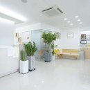 트리플선치과교정과치과의원 네이버블로그