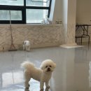 멍더캐슬 이미지