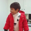 롯데마트디어베이비 네이버블로그