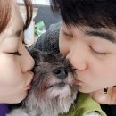 김순돌 이미지