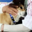 똘이2 이미지