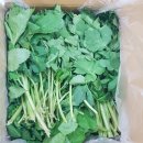 영임농장 이미지