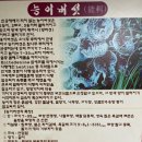 부영옻닭 이미지