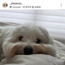 짜증나거나 스트레스 받을때는??😤🤔🏕 이미지
