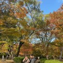 김해수로왕릉 | 김해수로왕릉 단풍 후기 , 김해 단풍 명소(김해 아이와가볼만한곳)