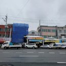 여수시장투어: [멸치어가] '북어포', '미역', '김' 후기 / 저렴하고 물건 좋아요!
