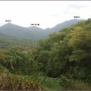 용천목장 Daum카페