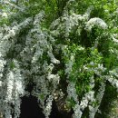 엄광산임도 이미지