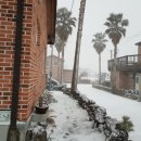 제주편백휴낭 이미지