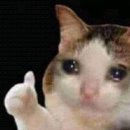 가족뮤지컬 <어중씨 이야기> | 260307 뮤지컬 라이프오브파이 박정민 관극 후기