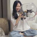 냥쿠아리움