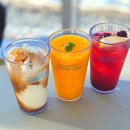 제주 트윈즈 이미지