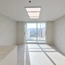 이모션광택 이미지