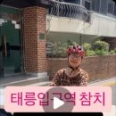 참치한상 이미지