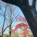 문화산책코스 이미지