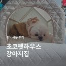 조인트하우스 | 초코펫하우스 에브리데이하우스, 강아지집 장단점