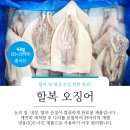 주식회사 타이거에스에프 네이버블로그