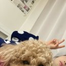 으네식당 이미지