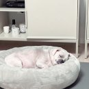 멍블리퍼피살롱 이미지