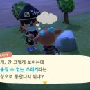 심스수족관 루리웹리뷰
