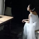 그레이빌 이미지