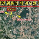 봉황면사무소 이미지