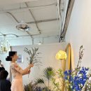 중앙무용학원 | 안산성인발레 입문, 발레벨 무용학원 중앙역점 후기