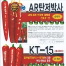 신흥종묘사 이미지