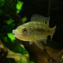 역돔낚시터 이미지