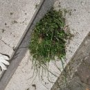 백선바오로의집 이미지