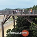 하늘바다길 이미지