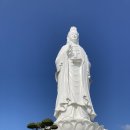 한상태농장 | 진짜 준비잘 해 간 다낭여행 준비