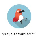 신바람 우쿨렐레 | 캠블리 1주년 후기 &amp;튜터 소개~^^