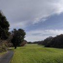 에코랜드CC | [2025년 12월 라운딩] 제주 에코랜드 CC 2인 노캐디 라운딩 후기