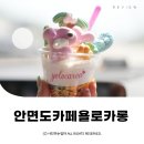 욜로카롱 | 안면도디저트카페 욜로카롱 돌고래아이스크림 ⓒ ᴍᴏᴀ sᴛᴏʀʏ