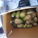 수지농장 이미지