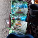 문상농장 이미지