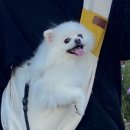 제이링크 이미지