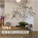 대구연경초등학교 | 대구 브런치 뷔페 연경지구 맛집 <까베르> 아이랑 오픈런 방문 후기