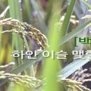 백로(白露)의 정의(定義), 내용(內容) 이미지