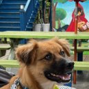 남해 36.5 이미지