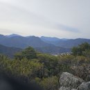 청도 옹강산(翁江山) &amp; 사리암(邪離庵) 260101('26.02.21 미나리 산행지) 이미지