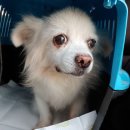 제이병원 이미지