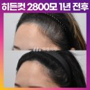 컷헤어 이미지